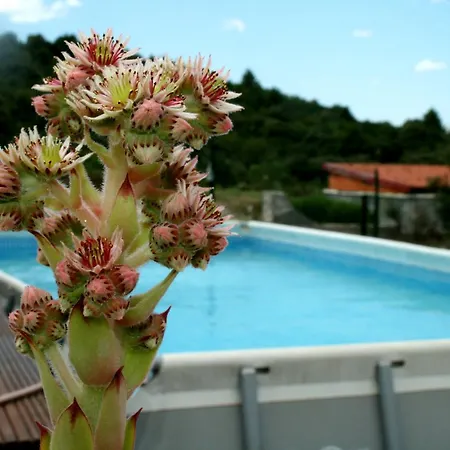 Holiday Rustica-jessica Holiday home Raslina